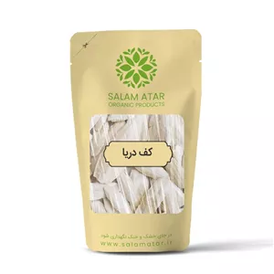 کف دریا