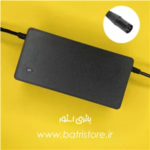 شارژر ویلچر برقی 24 ولت