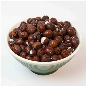 فندق شور تنوری
