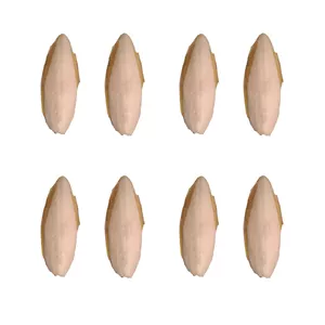 کف دریا کد 864 G وزن 64 گرم مجموعه 8 عددی