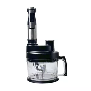 غذاساز دلمونتی مدل dl120