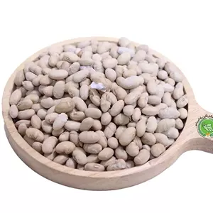 سویا آجیلی - 500 گرم