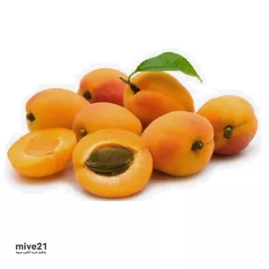 زردآلو شیراز