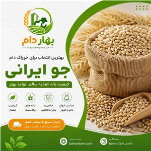 جو ایرانی