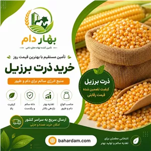 ذرت برزیل