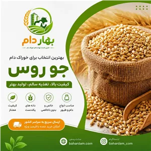 جو روس