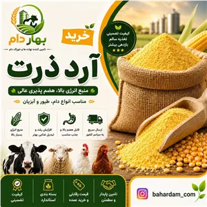 آرد ذرت یک کیلوگرم