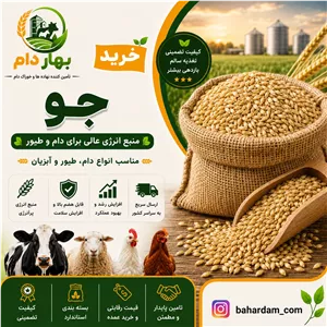 جو درجه یک ۱ کیلوگرم