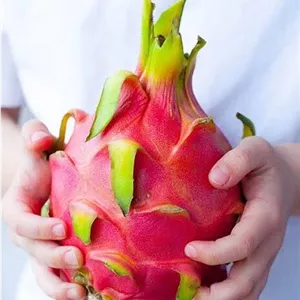 میوه اژدها