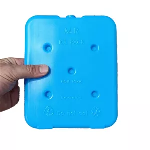 یخ خشک 600 گرمی mr icepack