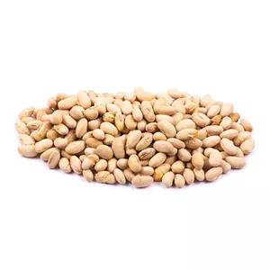 سویا آجیلی
