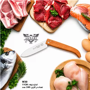 کارد تاشودسته چوبی اکبری تیغه 11سانت فولاد ژاپن مدل W30