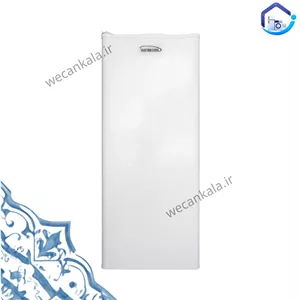 فریزر الکترواستیل سری STORE