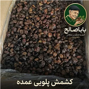 کشمش پلویی عمده کارتن 8 کیلو