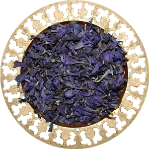 گل گاوزبان ممتاز