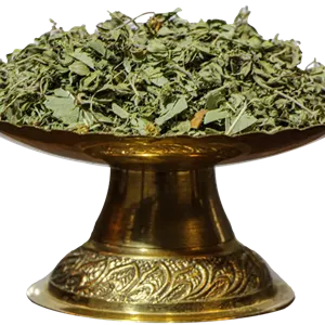سبزی مخصوص سرماخوردگی