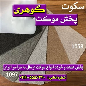 موکت پالاز (سکوت اسپرت)