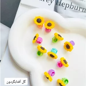 مهره مو پیکسل داررنگیPd56