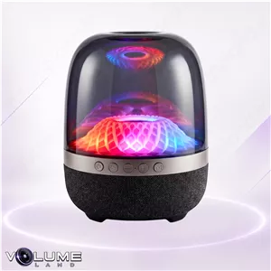 اسپیکر بلوتوثی قابل حمل مدل BTS 244۷