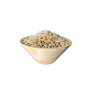 جو دوسر 100 گرمی