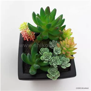 گلدان کاکتوس مصنوعی طرح مکعبی