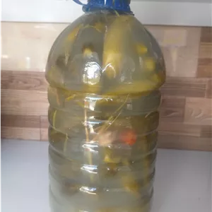 خیارشور درجه یک محلی سراب در بسته بندی ۴ کیلوگرمی