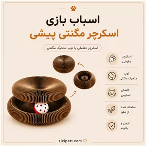 اسکرچر مگنتی
