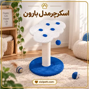 اسکرچر مدل بارون