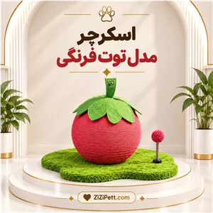 اسکرچر مدل توت فرنگی
