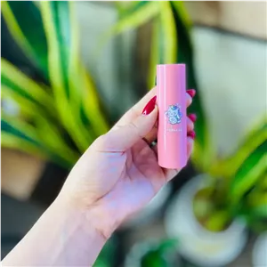 رژگونه دوسه استیکی