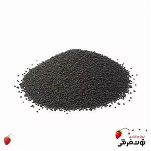 تخم خرفه ۵۰ گرمی
