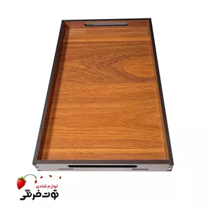 سینی فینگر فود مستطیل