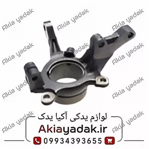 سگدست چپ شاهین