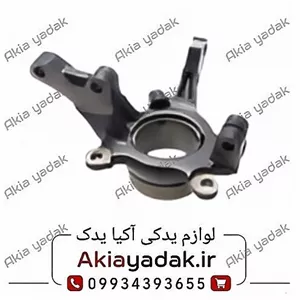 سگدست راست شاهین