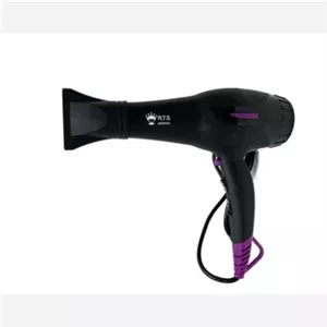 سشوار ار تی اس مدل RTS RT اصل