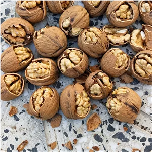 گردو با پوست درجه 1 تویسرکان