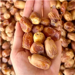 خرما زاهدی