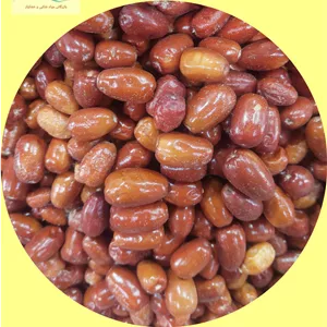 سنجد اعلاء و درشت ۱ کیلوگرم