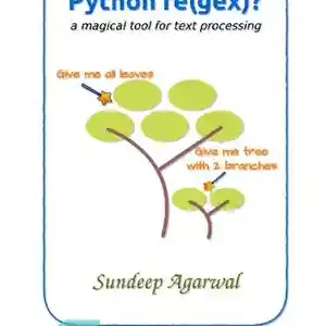 دانلود کتاب Python re(gex)? a magical tool for text processing – Python re(gex)؟ یک ابزار جادویی برای پردازش متن