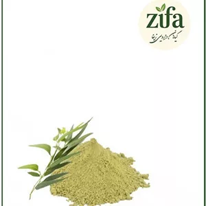 عصاره اکالیپتوس خشک یا پودری