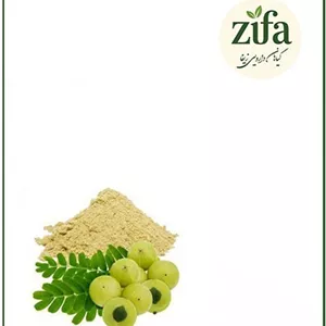 عصاره آمله خشک یا پودری