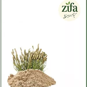 عصاره اسفرزه خشک یا پودری