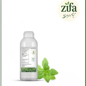 روغن پونه
