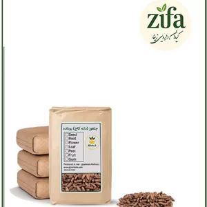 چلغوز (دانه کاج) بوداده فله
