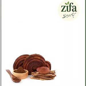 عصاره گانودرما خشک (پودری)