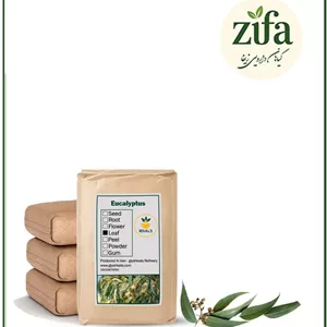گیاه اکالیپتوس خشک فله