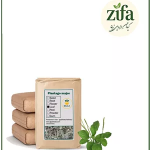 برگ بارهنگ خشک فله