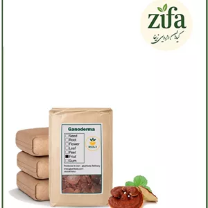 قارچ گانودرما خشک فله