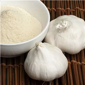 پودر سیر 100گرمی خوش طعم و عطر تازه و مرغوب
