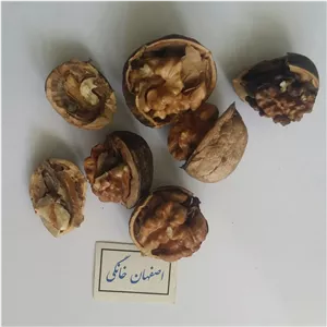 گردو بومی (بدون شکسته-با کمترین مغز سیاه یا پوک  ممکن ،طعم دار تره و غیر تراریخته)قیمت مناسب(تولید کننده ایم)
